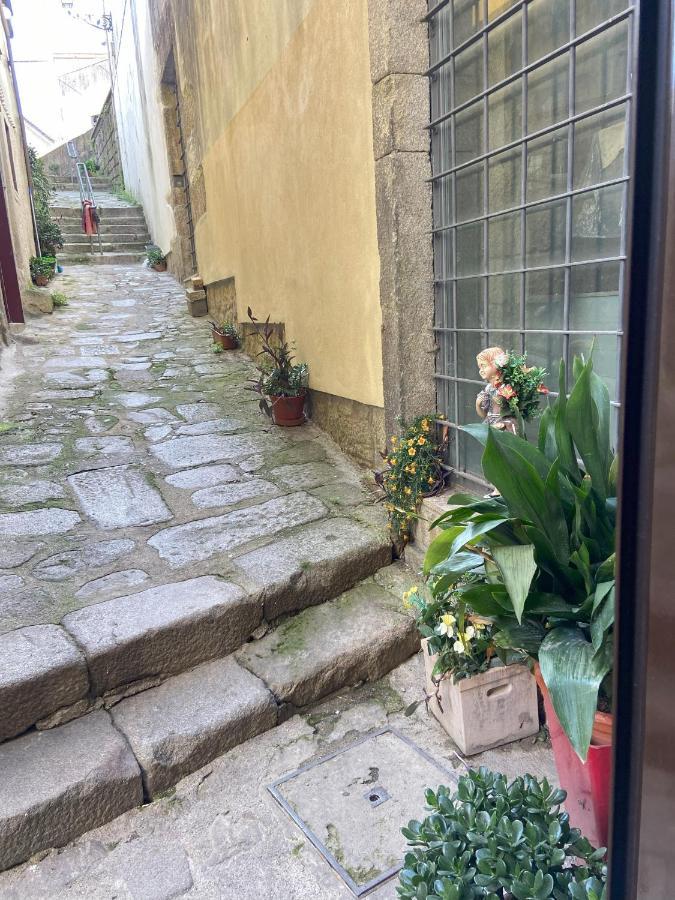 Apartment Ribeira Art Terrace Porto